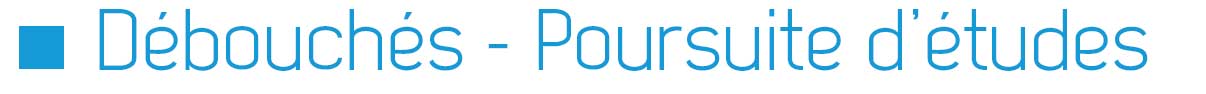 Débouchés, poursuites d'étude